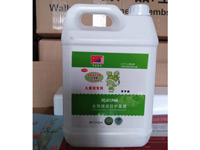 ��˼��5����Ĥ  / 145 Ԫ